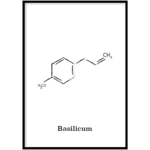 Basilicum