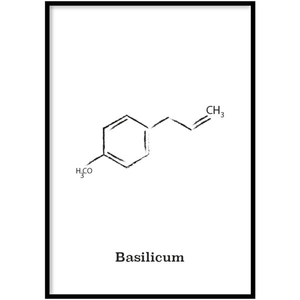 Basilicum