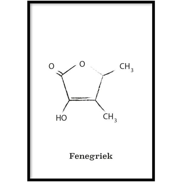 Fenegriek