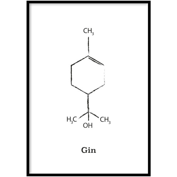 Gin