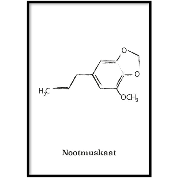 Nootmuskaat