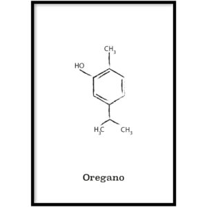 Oregano