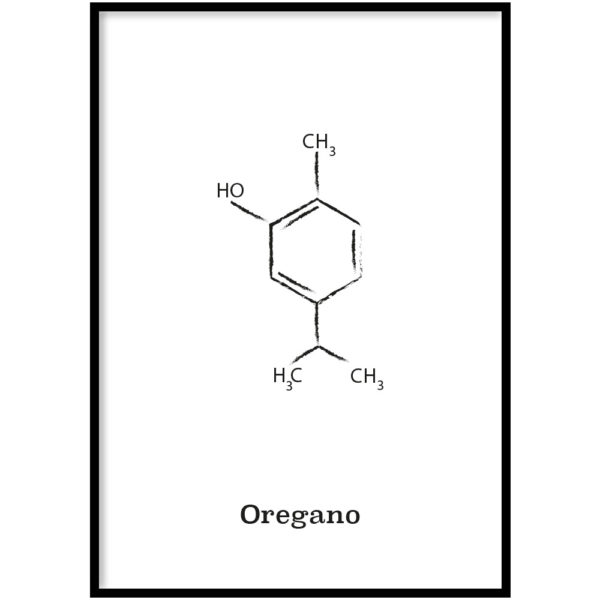 Oregano