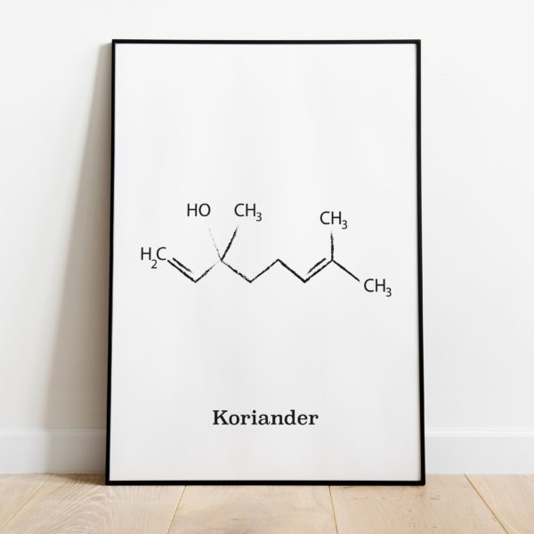 koriander