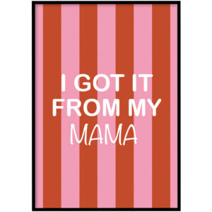 Poster - Got it from my mama