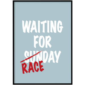 Poster - Race