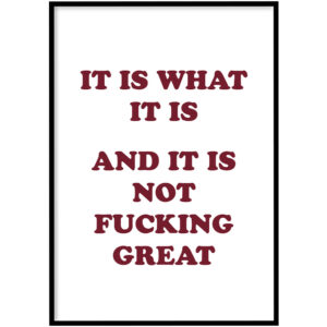 Poster - It is what it is