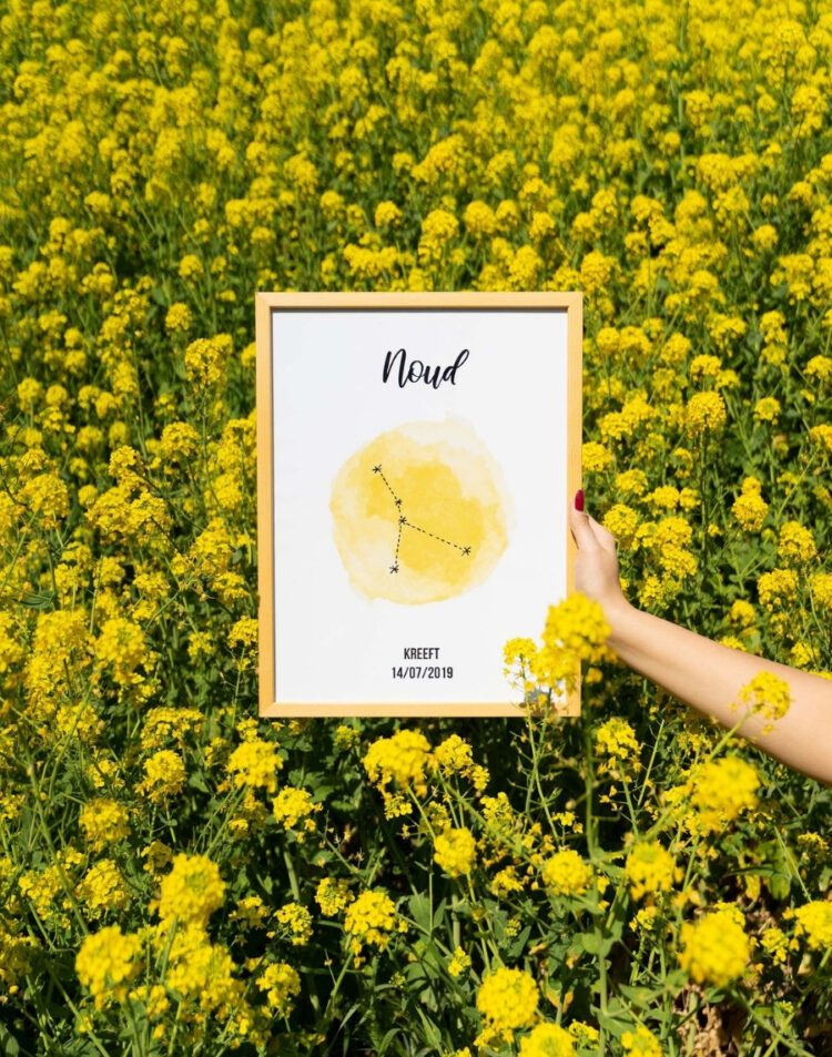 Hand die een ingelijste kinderposter vasthoudt met de naam Noud, de geboortedatum en het sterrenbeeld Kreeft in een houten lijst, tegen een achtergrond van een veld met gele bloemen.
