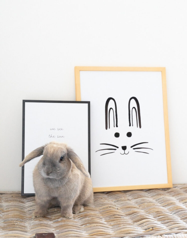 Lichtbruin dwergkonijn zittend op een rotan ondergrond voor twee ingelijste posters, waaronder een kinderposter van een konijnensnuit in houten lijst en een quote poster in zwarte lijst.