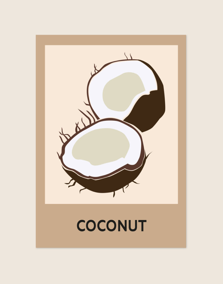 Stijlvolle artistieke poster met een afbeelding van een kokosnoot (Coconut), sfeervol opgehangen aan een neutrale muur in een lichte keuken.