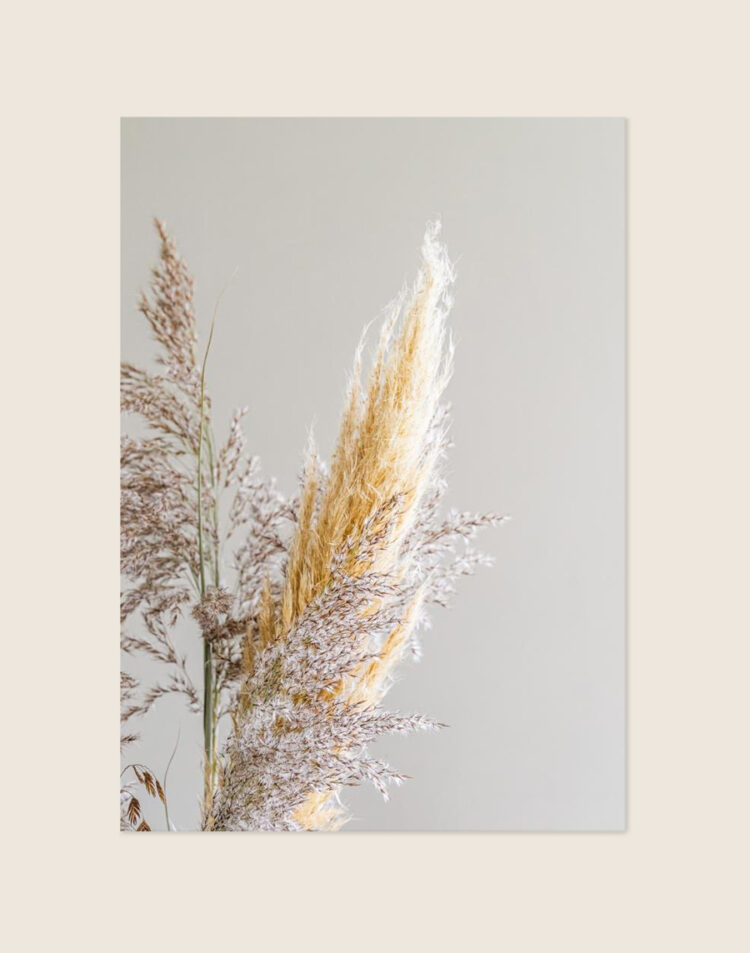 Stijlvolle botanische poster van een elegant boeket droogbloemen in zachte aardetinten, sfeervol opgehangen in een bohemien interieur.