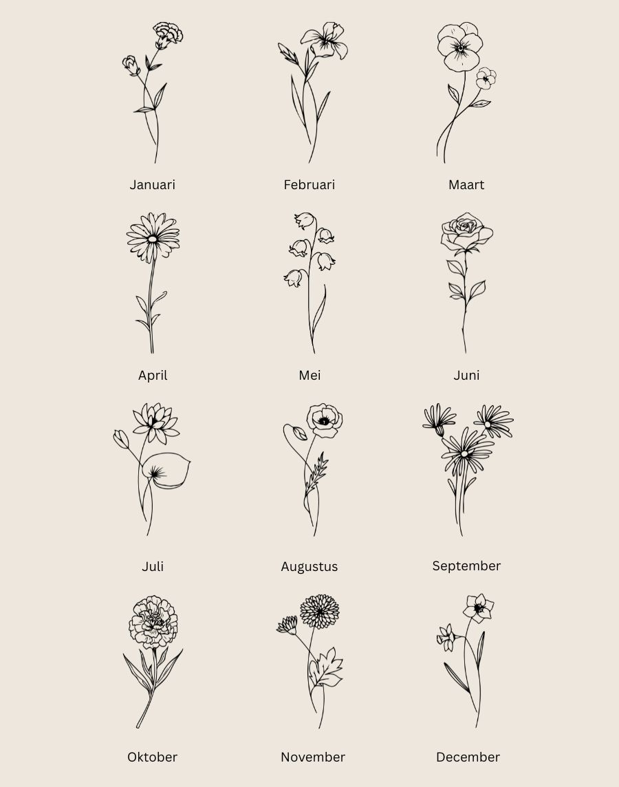 Poster - Bosje geboortebloemen beige - Afbeelding 2