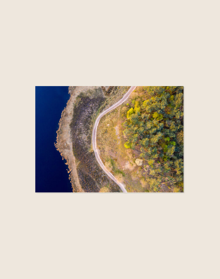 Een abstract ogende top-down dronefoto van een natuurlandschap (de Hatertse Vennen). Het linkergedeelte van het beeld bestaat uit diep, donkerblauw water. In het midden loopt een slingerend, licht gekleurd zandpad langs de oever, grenzend aan droog, aards terrein. Het rechtergedeelte wordt volledig in beslag genomen door de boomtoppen van een bos, uitgevoerd in diverse tinten groen en warm geel.