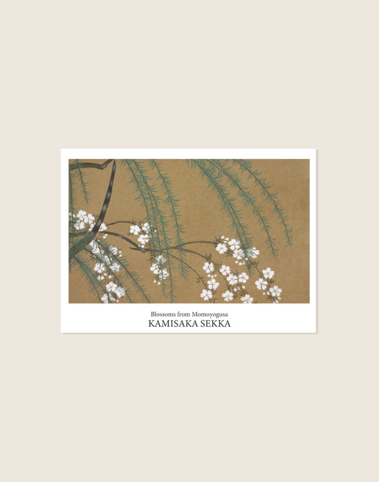 Vintage Japanse poster van het kunstwerk Blossoms door Kamisaka Sekka met bloeiende bloesemtakken, sfeervol opgehangen in een Japandi interieur.