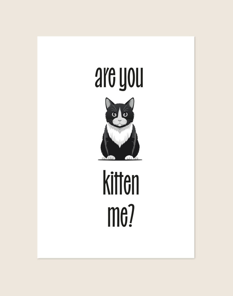 Een minimalistische witte poster met een illustratie van een zittende zwart-witte kat, omringd door de grappige zwarte tekst 'are you kitten me?'.