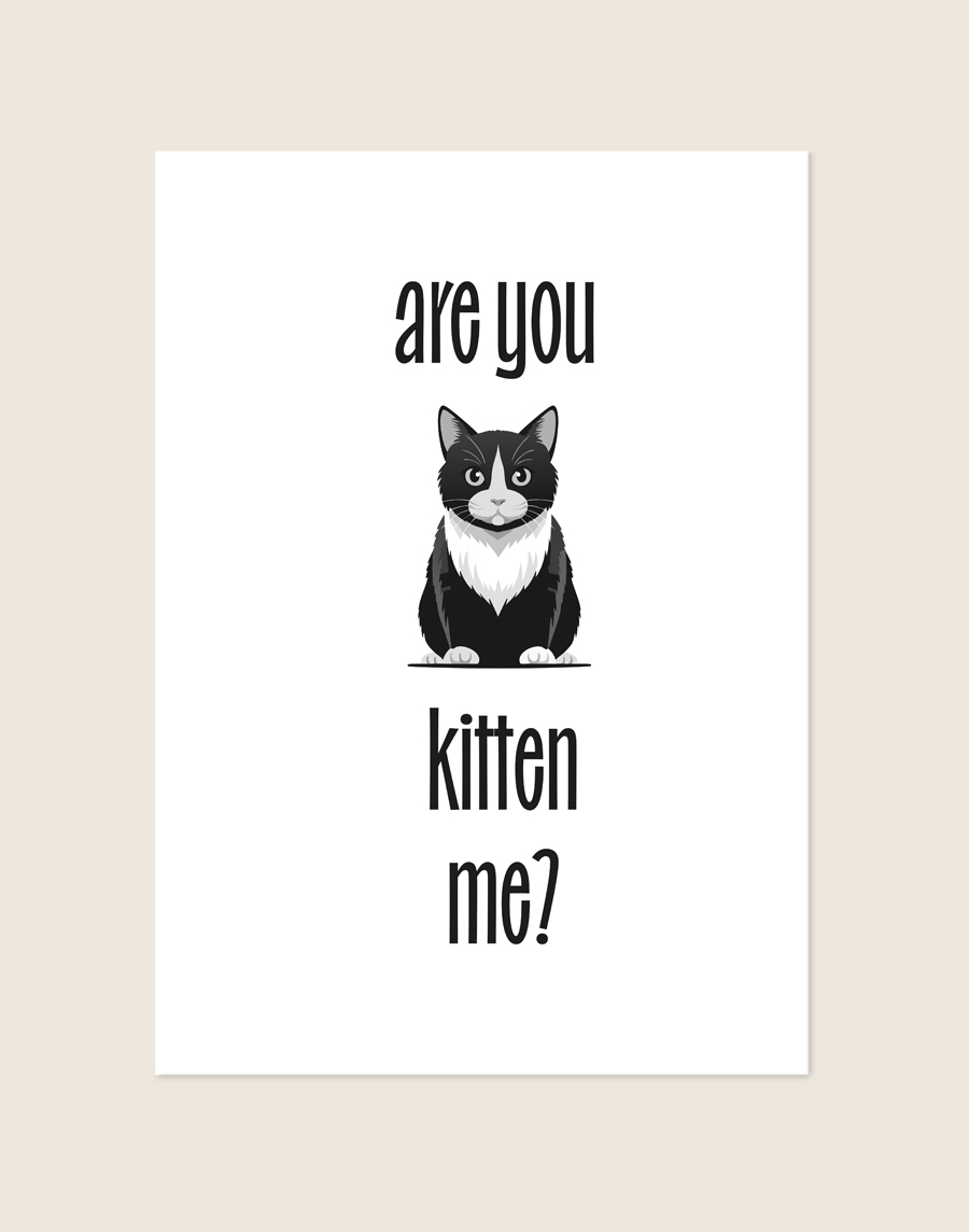 Een minimalistische witte poster met een illustratie van een zittende zwart-witte kat, omringd door de grappige zwarte tekst 'are you kitten me?'.