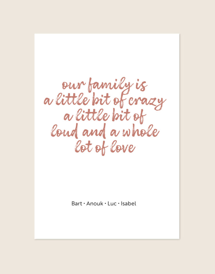 Een stijlvolle poster met een helderwitte achtergrond. Centraal staat de quote "our family is a little bit of crazy a little bit of loud and a whole lot of love" in een speels, roségoud/oudroze handgeschreven brush-lettertype. Onderaan de poster staan vier namen op één regel, in een dun en strak zwart lettertype, subtiel gescheiden door kleine stipjes.