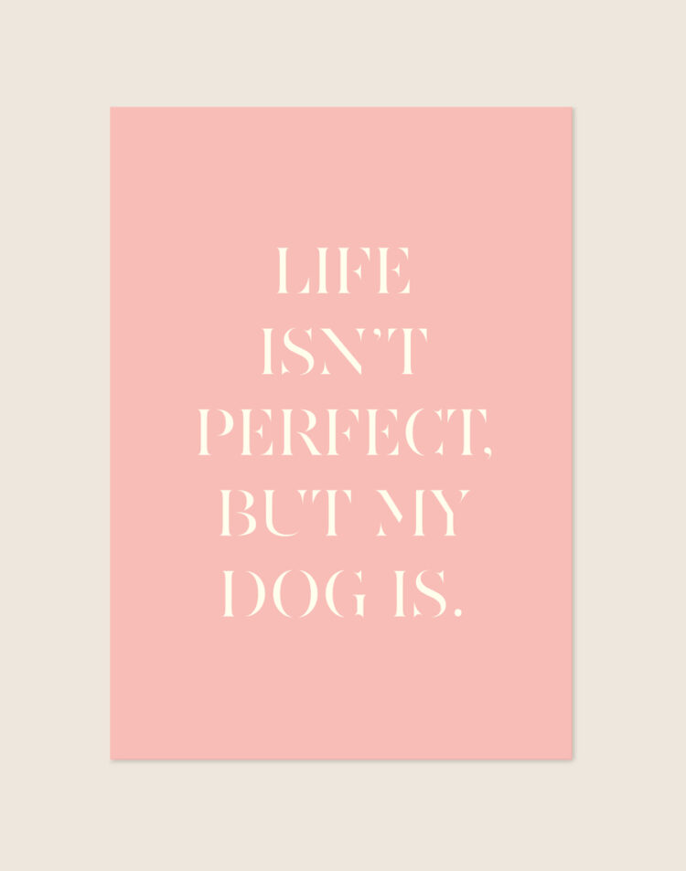 Een zachtroze poster met in het midden de crèmekleurige, elegante tekst 'LIFE ISN'T PERFECT, BUT MY DOG IS.' in een serif-lettertype.