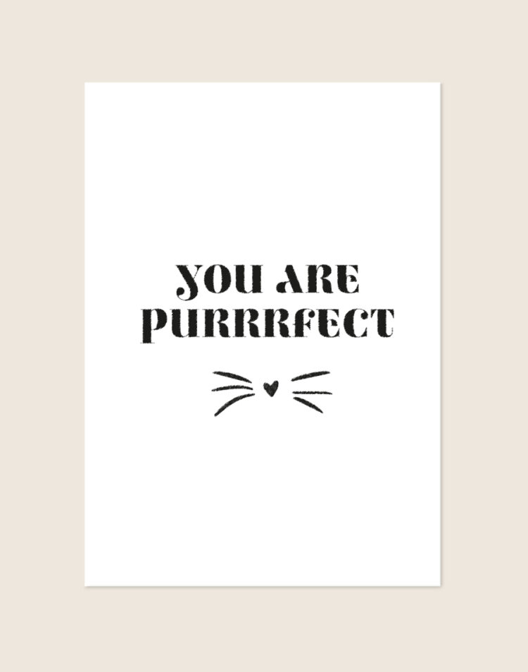 Witte minimalistische poster met de zwarte tekst 'YOU ARE PURRRFECT' in een robuust lettertype, met daaronder een subtiele illustratie van snorharen en een hartvormig poezenneusje.