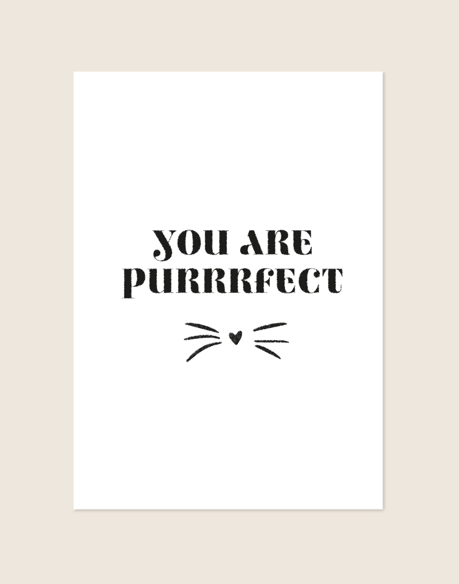 Witte minimalistische poster met de zwarte tekst 'YOU ARE PURRRFECT' in een robuust lettertype, met daaronder een subtiele illustratie van snorharen en een hartvormig poezenneusje.