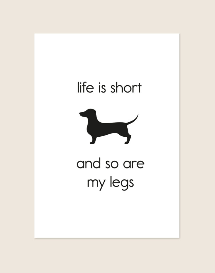 Minimalistische witte poster met een zwart silhouet van een teckel in het midden, omringd door de grappige zwarte tekst 'life is short and so are my legs'.