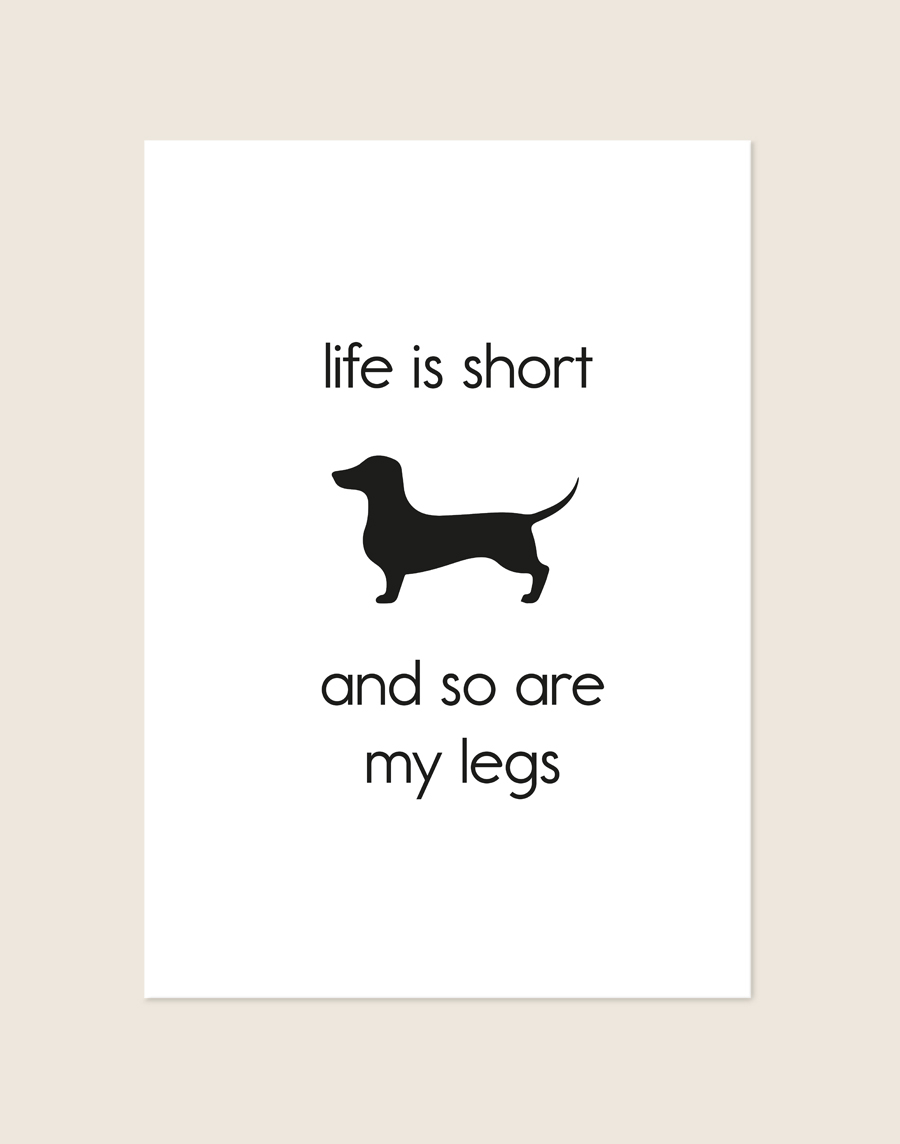 Minimalistische witte poster met een zwart silhouet van een teckel in het midden, omringd door de grappige zwarte tekst 'life is short and so are my legs'.