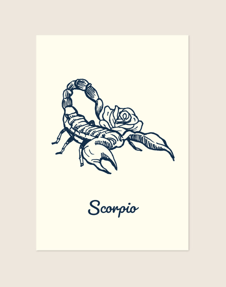 Een poster met een zachtgele achtergrond en een gedetailleerde, donkerblauwe schets van een schorpioen verstrengeld met een roos. Eronder staat de tekst 'Scorpio' in een sierlijk donkerblauw lettertype.