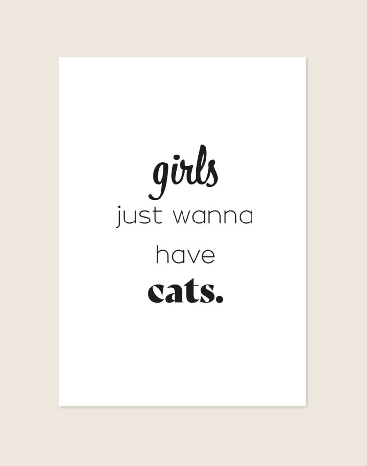 Witte minimalistische poster met de zwarte, grappige tekst 'girls just wanna have cats.' geschreven in een speelse mix van verschillende lettertypes.