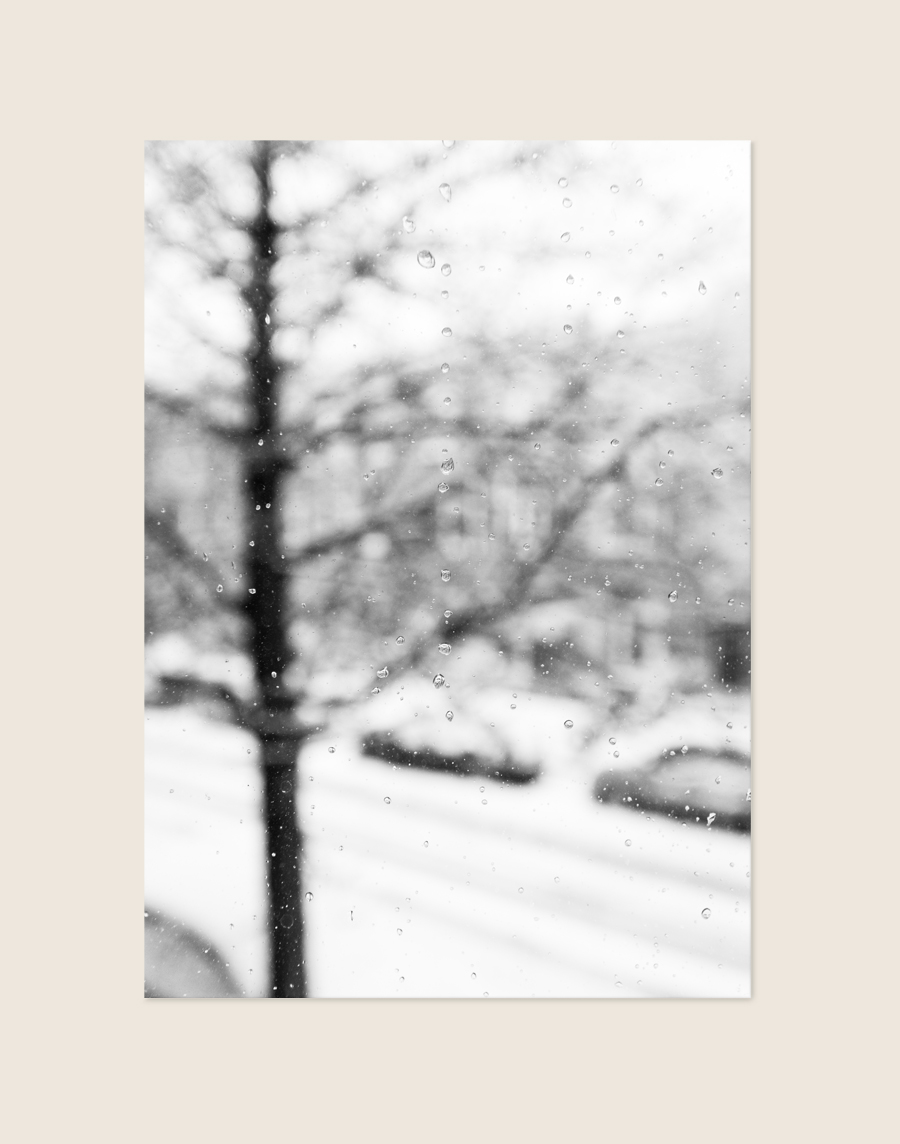 Moderne poster van een macrofoto met heldere winterse waterdruppels op een takje, sfeervol opgehangen in een minimalistisch interieur.